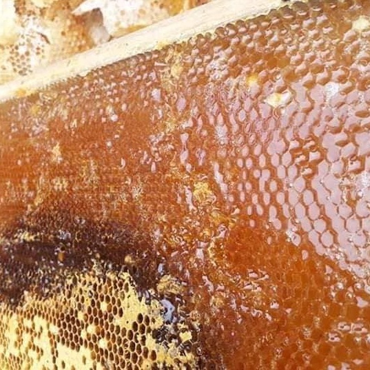 SIÊU RẺ - MẬT ONG RỪNG HOA NHÃN 1 lít nguyên chất 100% chuẩn - THẾ HỒNG HONEY