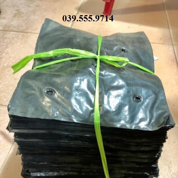 TÚI BẦU ƯƠM CÂY, TÚI TRỒNG CÂY GIÁ RẺ 8x11