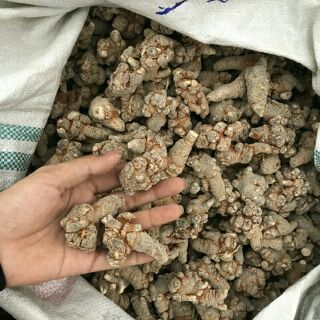500g Tam thất bắc [ loại 6 củ/ lạng ] hàng luôn mới