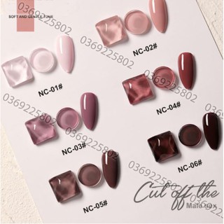 Sơn gel AS set 6 màu NC