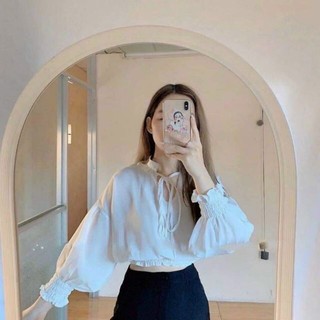 Áo trắng bèo cổ tàu tay nhún basic
