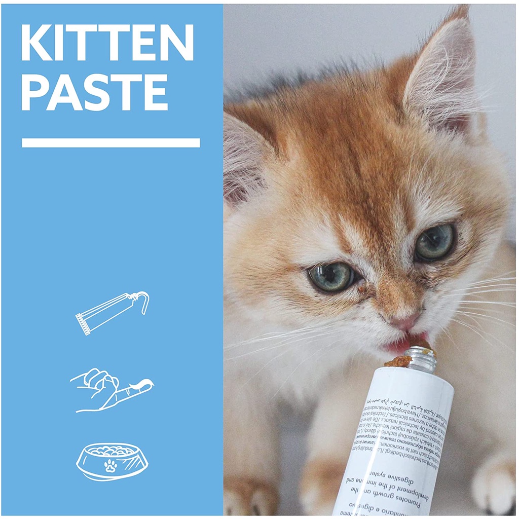 Gel dinh dưỡng Gimcat Kitten Gel dinh dưỡng cho mèo con phát triển toàn diện GG08