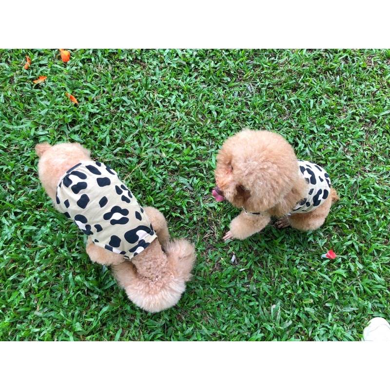 Áo thun couple da báo cool ngầu cho thú cưng