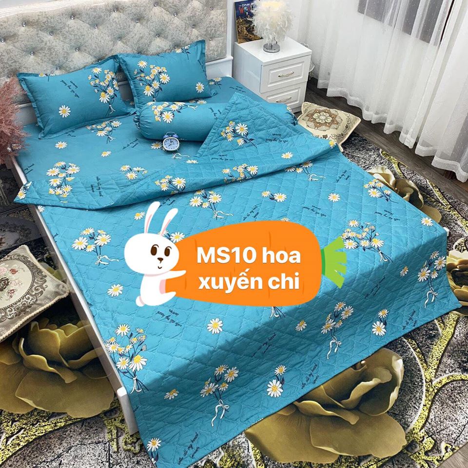 Bộ Ga Gối 80x1m9 Vải Cotton Poly Mềm Mịn,được chọn mẫu hanhrui-hoa xuyến chi