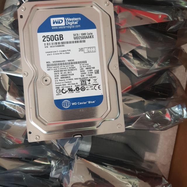 Ổ cứng máy tính hdd 250gb | BigBuy360 - bigbuy360.vn