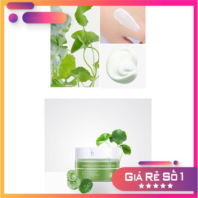 Kem Dưỡng Da Chiết Xuất Rau Má Dưỡng Ẩm Không Gây Dị Ứng Skin Ever - 30g