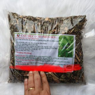 Cây mực (1 kg)