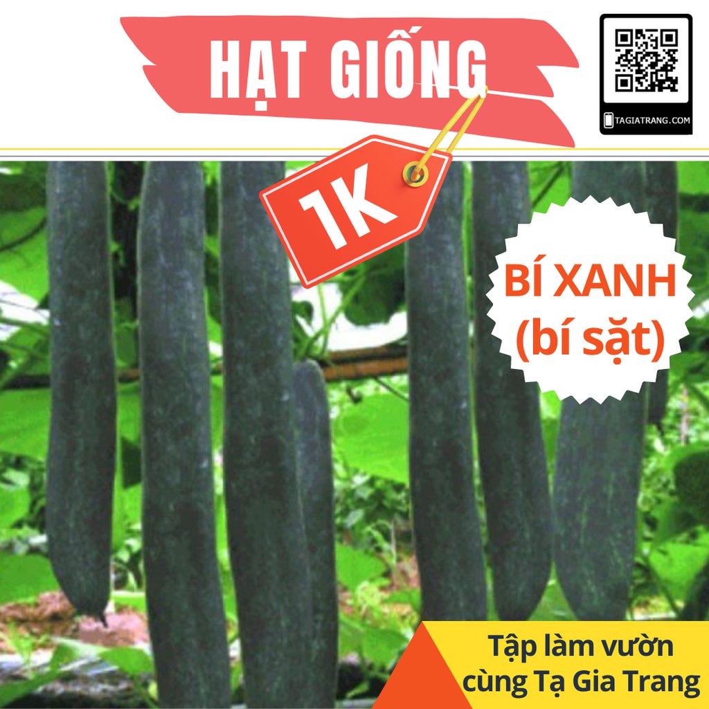 Deal 1K - Hạt giống bí sặt cao sản (bí đao xanh) - Tập làm vườn cùng Tạ Gia Trang