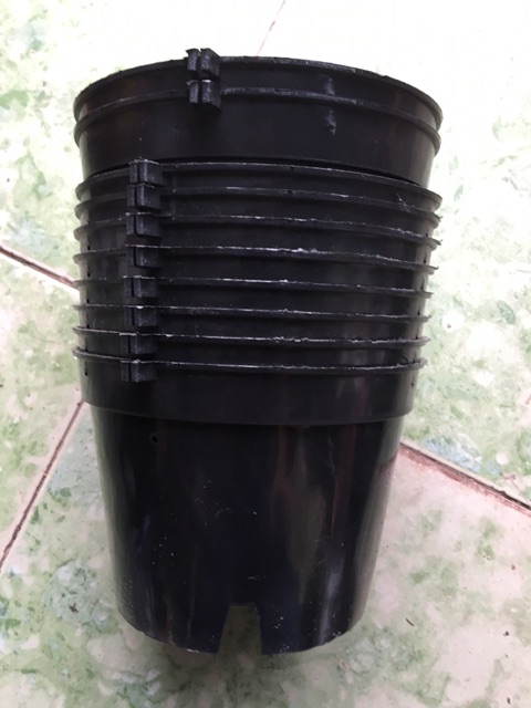 Combo 20 chậu bít đường kính 18 cm
