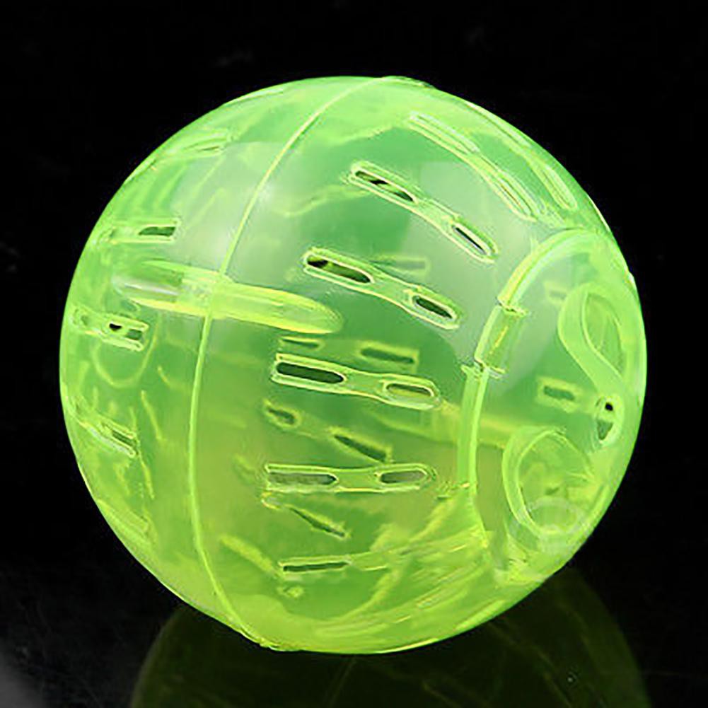 Quả bóng luyện tập đồ chơi bằng nhựa vui nhộn dành cho chuột hamster