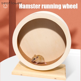 Bánh xe bằng gỗ dùng tập thể dục cho chuột ham thumbnail