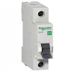 Aptomat MCB 2 pha  Schneider (16A, 20A, 25A, 32A, 40A, 50A, 63A)