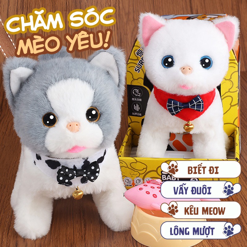 MÈO BÔNG BIẾT ĐI, BIẾT KÊU CÓ NHÀ Ở, LỒNG VẬN CHUYỂN CÙNG CÁC PHỤ KIỆN CHĂM SÓC MÈO YÊU