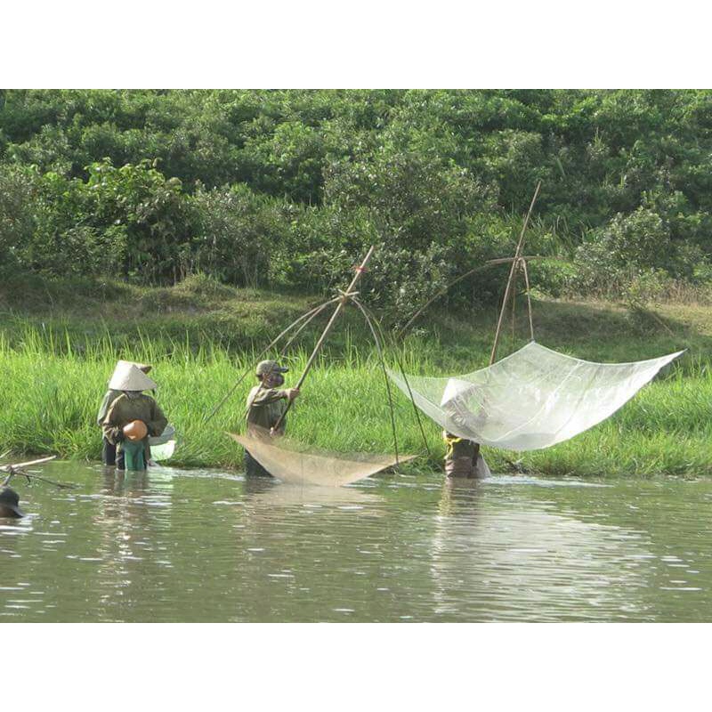 Vó ,bè Cước kéo tép,tôm,cá...mắt lưới 3ly