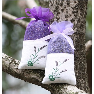 [SALE 10%] Túi thơm để phòng nụ hoa oải hương Lavender 20gr