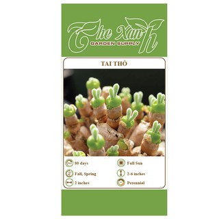 Hạt giống cây tai thỏ The Xanh Garden Supply_gói 0,2gr