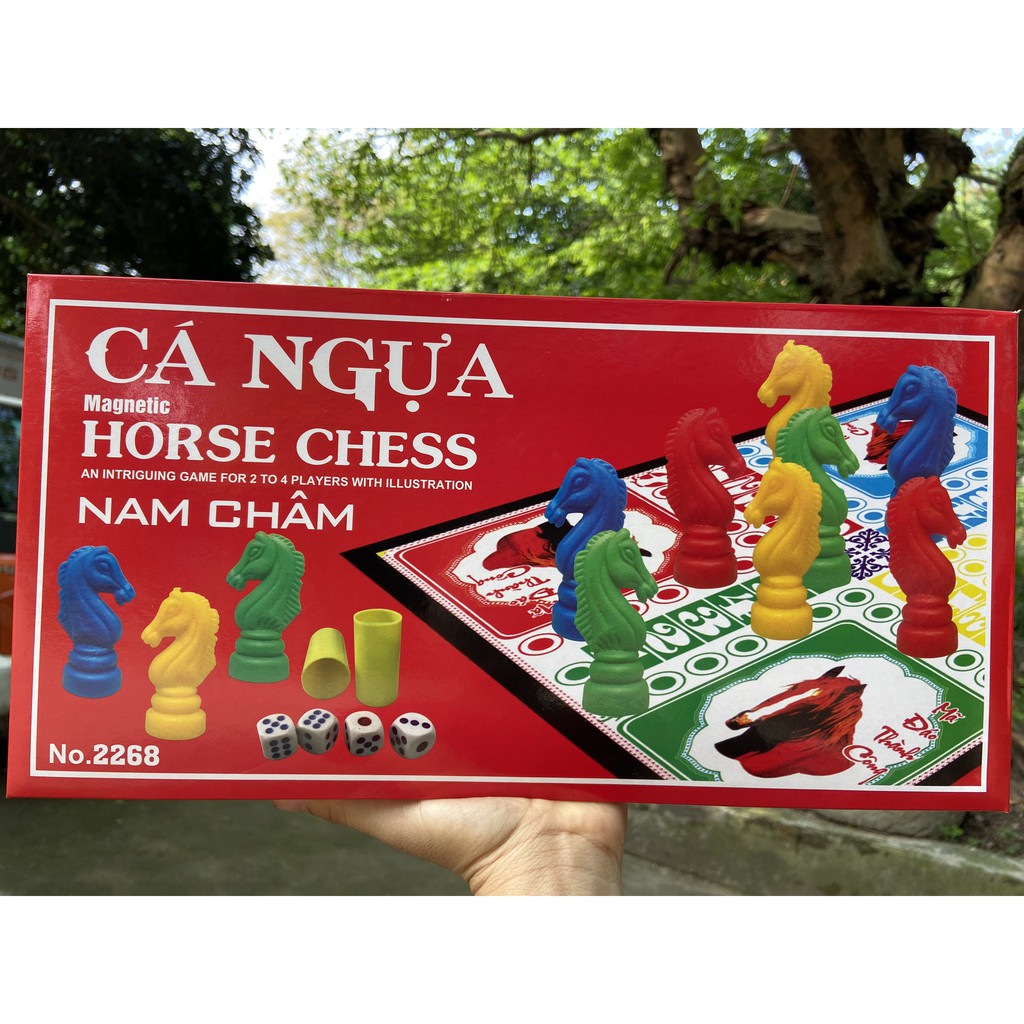 BỘ ĐỒ CHƠI CÁ NGỰA NAM CHÂM ĐẠI NGUYỆT ANH KT 36X18.5X5.5 CM