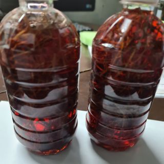 Rễ cây Bạch Hạc cho gà trị mốc(500ml)