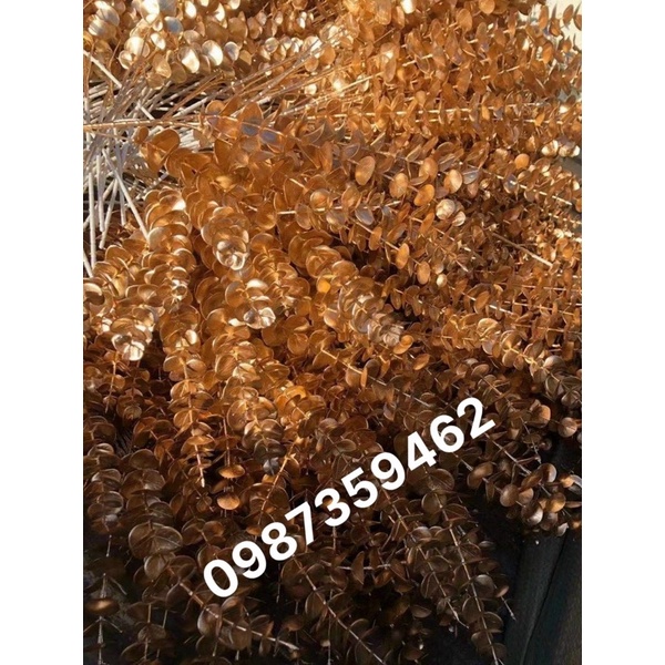 Cành rẻ quạt, trái tim, lông công, dương sỉ, lá táo màu đồng hot hit (xưởng chuyên sỉ)