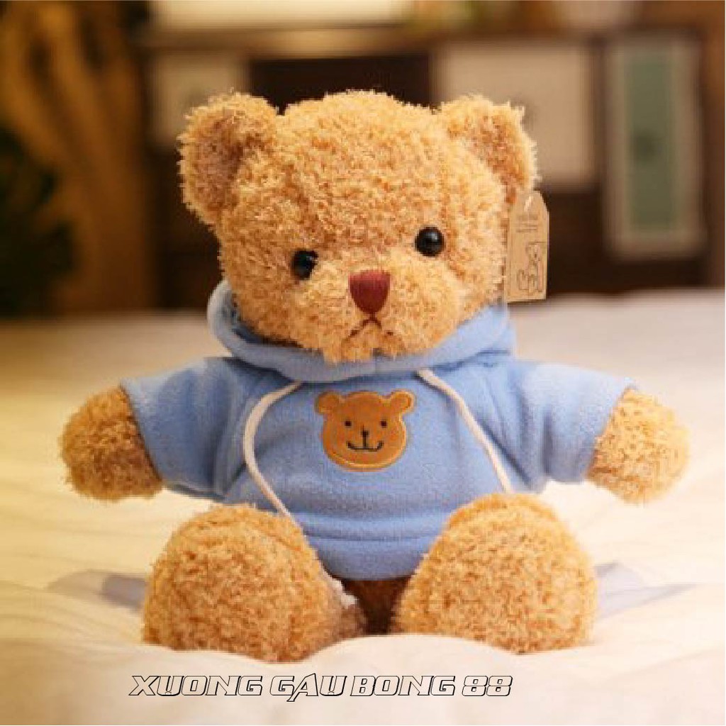 Gấu Bông Đồ Chơi cho bé Teddy Mặc Áo Hoodie Nhiều Màu Nhồi Gòn Cao Cấp Bao Xinh