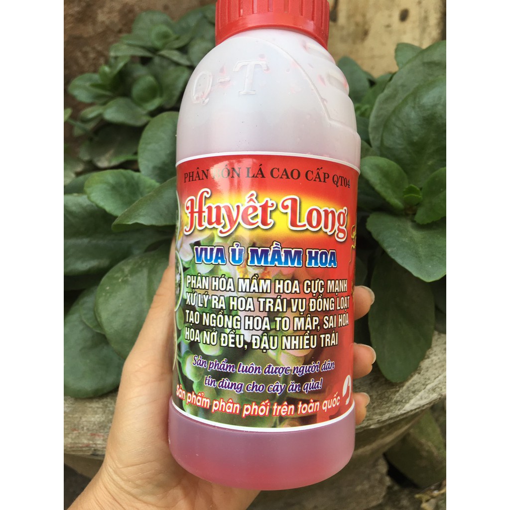 Siêu Lân đỏ- Phân bón lá cao cấp Huyết Long  500ml