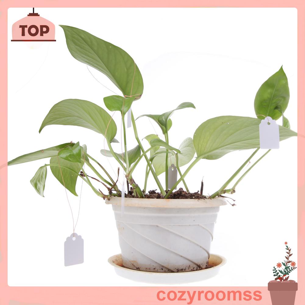 Bộ 100 Thẻ Nhựa Đánh Dấu Cây Trồng Chống Thấm Nước Tiện Dụng