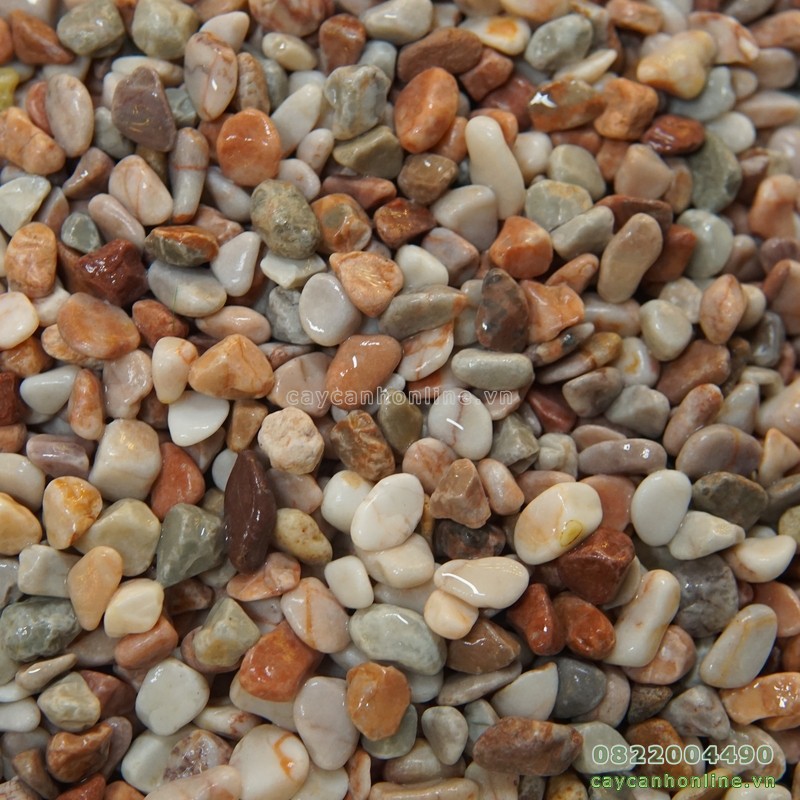 1kg sỏi trang trí tiểu cảnh trải mặt chậu cây cảnh để bàn
