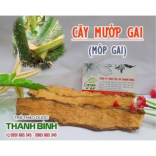 Cây Mướp Gai 1Kg_Thảo Dược Thanh Bình