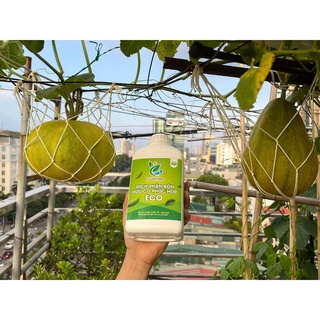 Dịch phân bón hữu cơ phức hợp Eco
