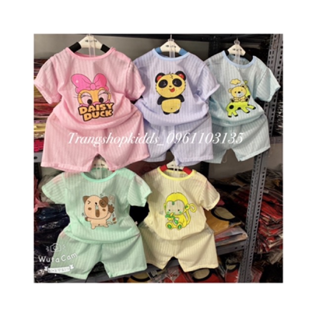 Combo 5 bộ cotton giấy màu cộc tay in hình ngộ nghĩnh cho bé