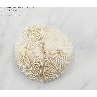 Nails phụ kiện chụp ảnh mẫu