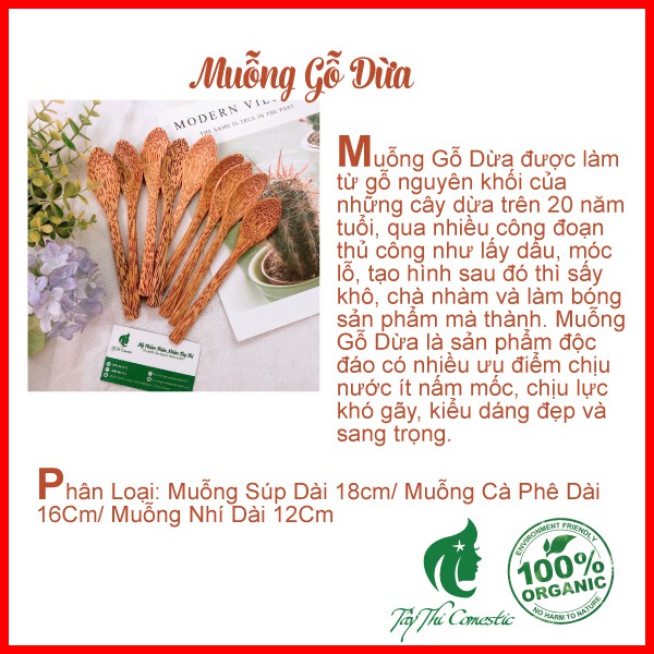 Muỗng Gỗ Dừa Cao Cấp