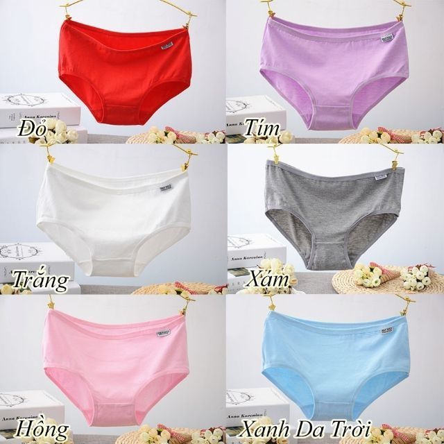 Quần Lót Cotton Màu Trơn Nữ_Quần Lót Pulo Co Giãn Mềm Mịn