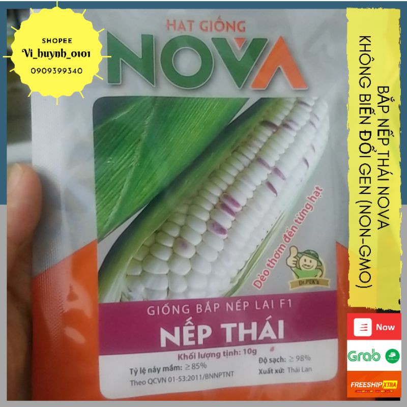 Gói 10gr Hạt giống bắp nếp Thái dẻo thơm từng hạt Nova giống lai tạo tự nhiên