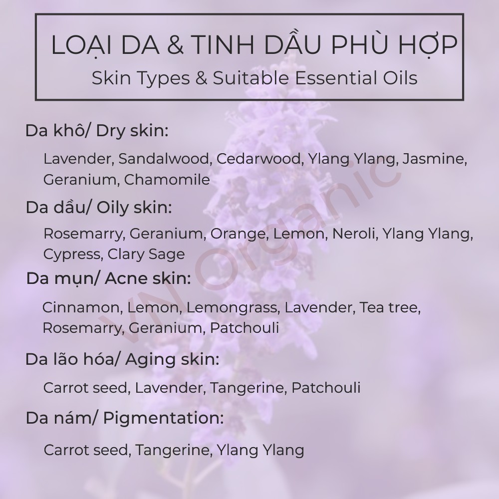 Tinh dầu Hương Nhu Tulsi Essential Oil