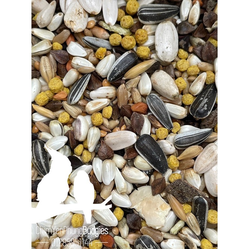 BIG PARAKEETS (gói 2KG nguyên seal) Thức ăn hỗn hợp cho vẹt Lovebird • SunConure • Cockatiel - xuất xứ: Ý 🇮🇹🇮🇹🇮🇹