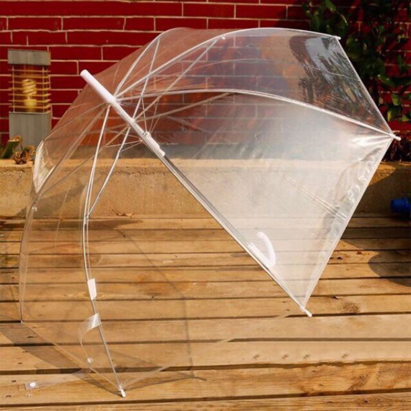 Dù trong suốt phong cách hàn quốc / Ô dù đi mưa, đi du lịch , chụp hình ngoại cảnh