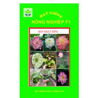 combo 300 hạt giống hoa sen nhật mini