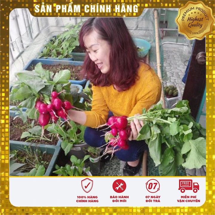 Hạt Giống Củ Cải Tròn Đỏ ( gói 5 gram)