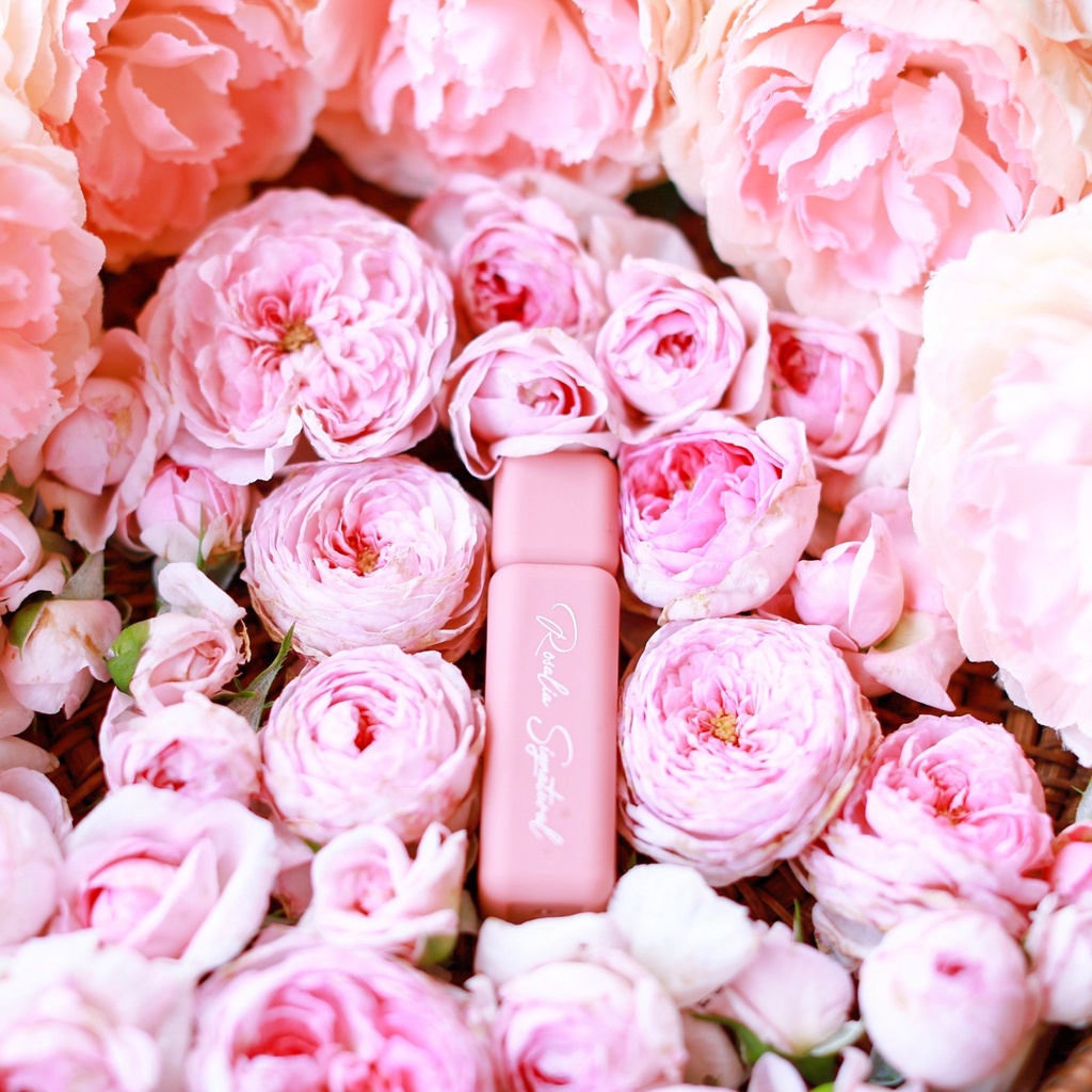 Son Lì Màu Đẹp Không Chì Chất Son Siêu Mềm Mịn Ăn Uống Không Trôi Từ Hoa Hồng Sạch  An Toàn Từ Thiên Nhiên Rosalia