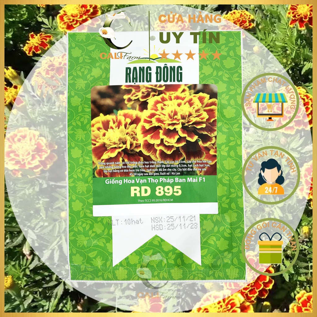 Hạt Giống Vạn Thọ Pháp Ban Mai RD 895