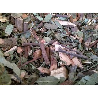THẦN DƯỢC CHO GAN - CÂY XẠ ĐEN KHÔ