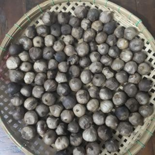 Tỏi đen cô đơn CÔNG NGHỆ NHẬT BẢN
