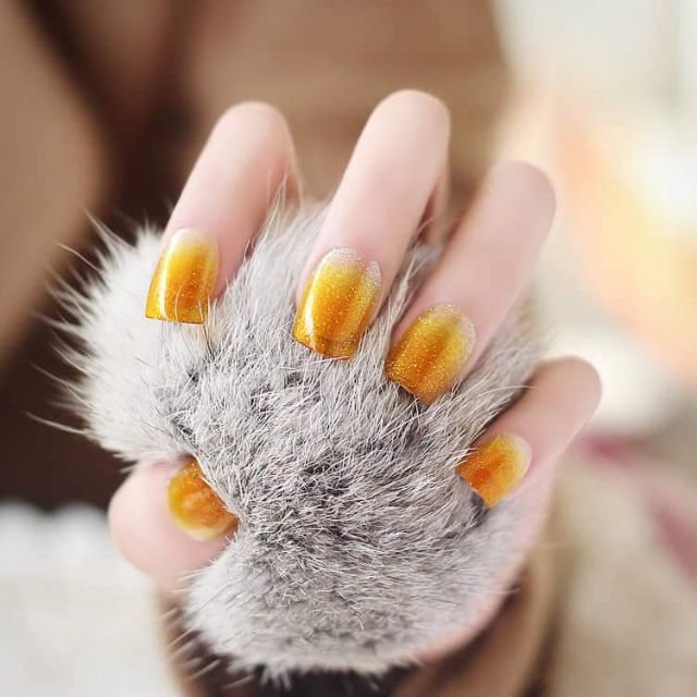 Combo 3 bộ móng tay giả
