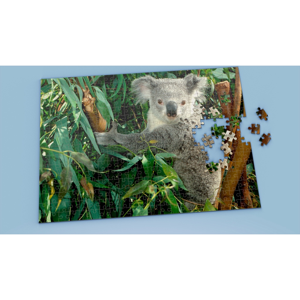 Tranh ghép hình KOALA - Mẫu 3 - Nhận in theo yêu cầu