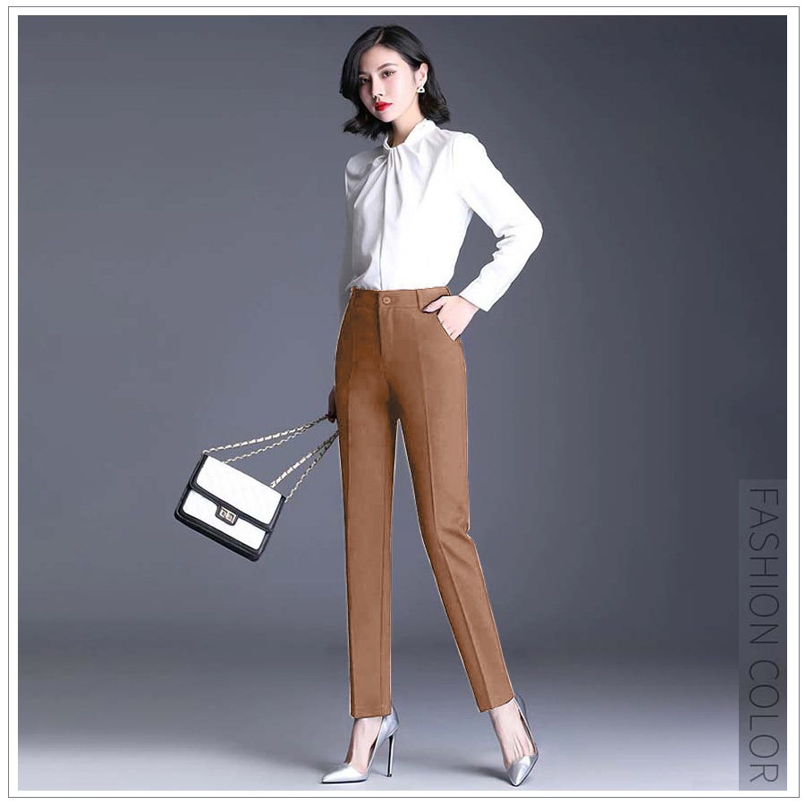 Quần tây công sở nữ kiểu mới ống đứng màu nâu nhạt sang trọng thanh lịch