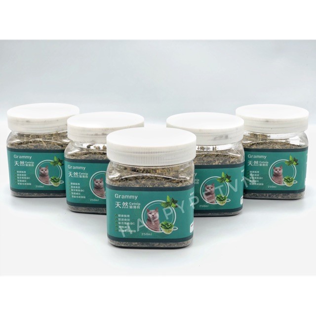 Hộp Cỏ Bạc Hà Catnip 250ml chuyên dùng dành cho mèo phê phê phê