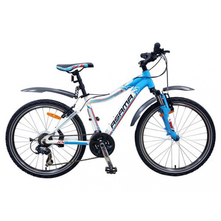 Xe đạp địa hình Asama MTB 24-01