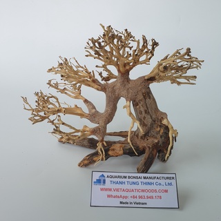 Lũa bonsai mini trang trí bể cá, bể thủy sinh 20cmx15cm BS06
