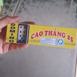 Cờ domino nhựa